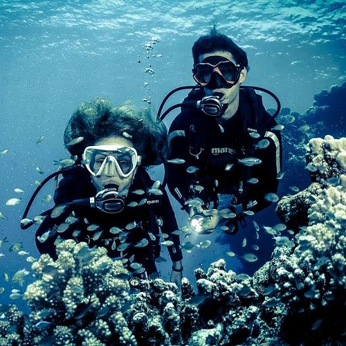 Diving in Libya